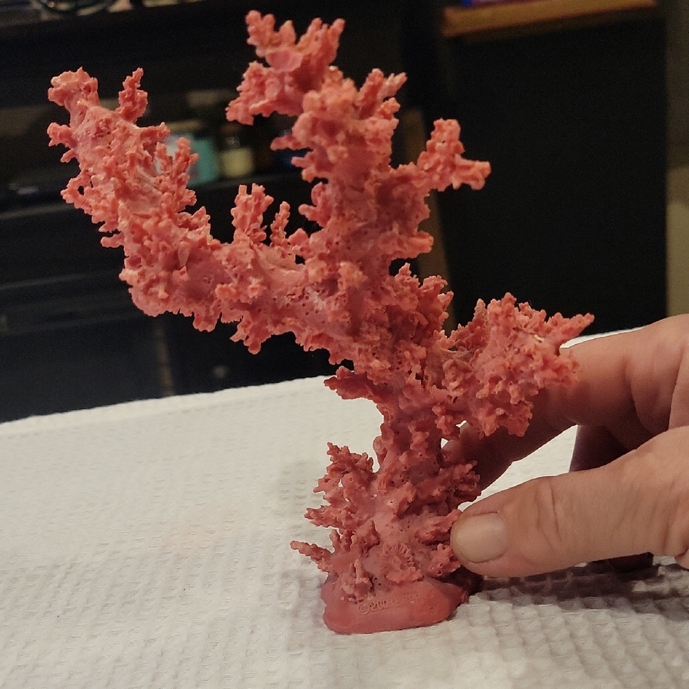Genuine Pink Coral Sculpture, Useful For Salt Water Fush Tanks